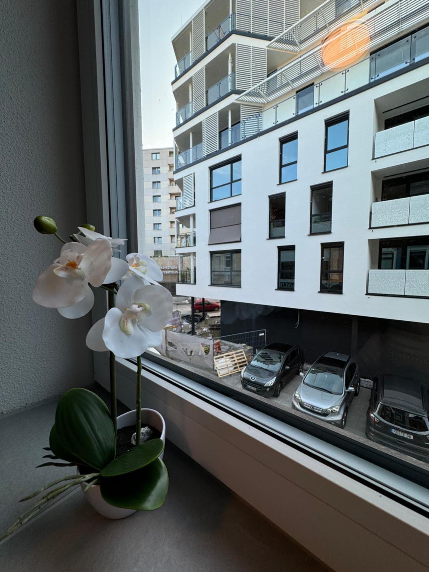 City Ferien Wohnungen 1 罗森海姆 外观 照片